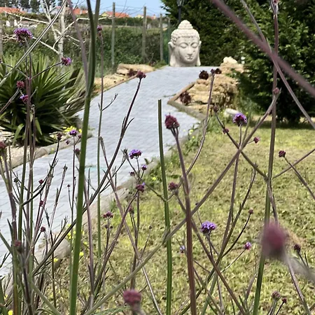 Bed and Breakfast Quinta Da Relva - Soulful House Μάφρα