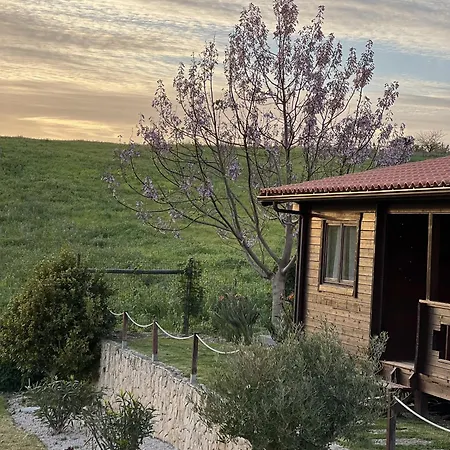 Bed and Breakfast Quinta Da Relva - Soulful House